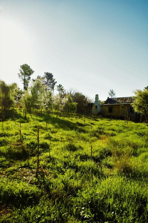 Bethany Farm Twee Riviere Buitenkant foto